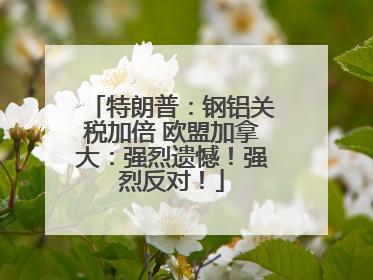 特朗普：钢铝关税加倍 欧盟加拿大：强烈遗憾！强烈反对！